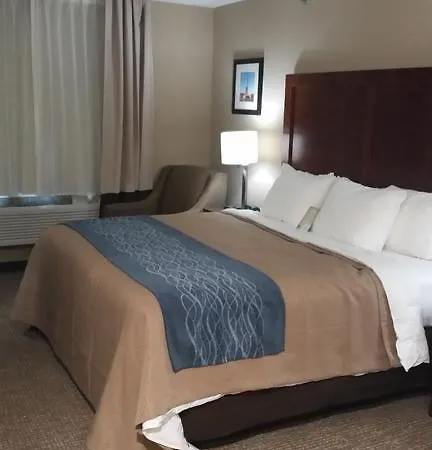 Comfort Jamaica Downtown Hotel