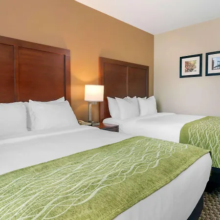 Hotel Comfort & Near Jfk Air Train