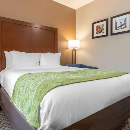 Hotel Comfort & Near Jfk Air Train