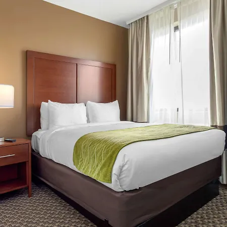 Comfort & Near Jfk Air Train Hotel