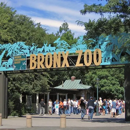 Apartment King Size Bed Fast Wifi 278mbps Bronx Zoo 2 Miles