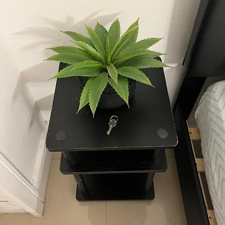 Hostel Bedroom Friends Hostel *