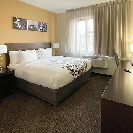 Sleep Hotel