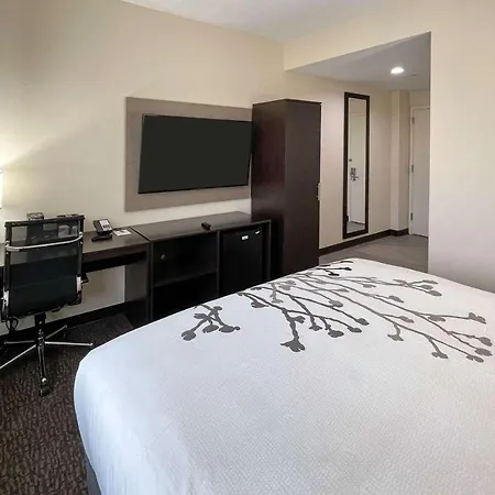 Sleep Hotel 2*