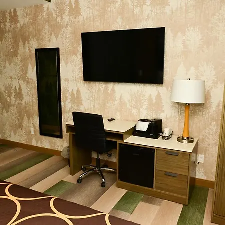 Super 8 By Wyndham Bronx Near Botanical Garden New York
