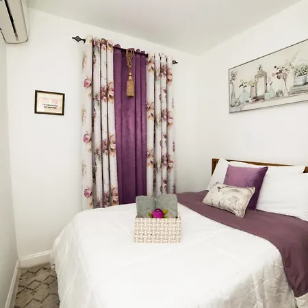 Homestay Floor With Skylight Brooklyn New York