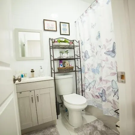 Homestay Floor With Skylight Brooklyn New York
