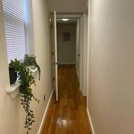 Beautiful 4-bedroom Unit In Bushwick New York