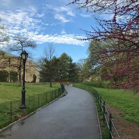 Apartment Beautiful Private & Close To Everything! New York