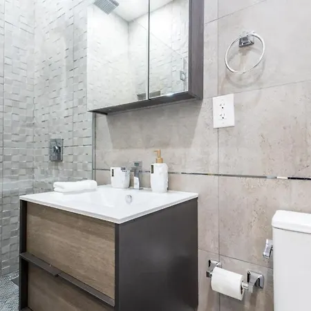 317-1a New Modern 1br W&d Walk To Park Apartment New York