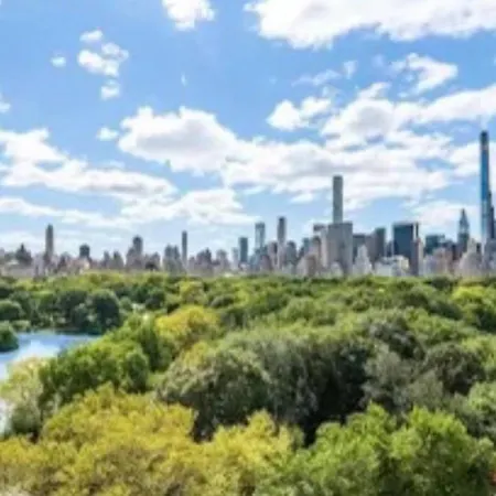 Stunning View Of Park New York