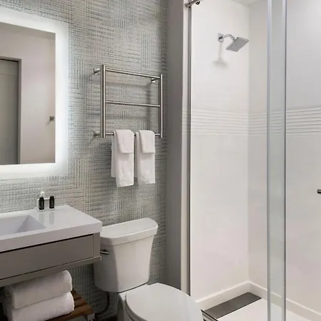 Towneplace By Marriott Brooklyn 3* New York