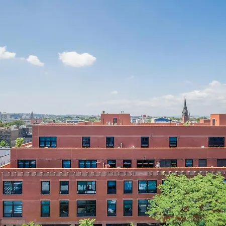 Downtown Bk 1br W Wd Deck Nr Tj Nyc-879 Apartment