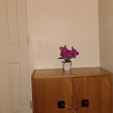& Affordable Williamsburg Small Homestay New York