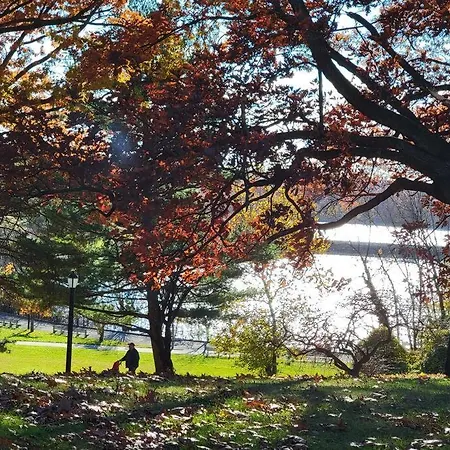 Apartment Private Near Ferry And Park *