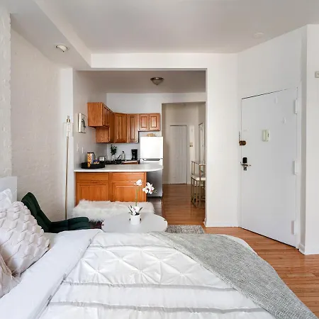 Sophisticated Studio In Nyc Apartment