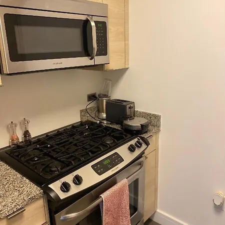 Entire Luxury Mins From Times Square New York