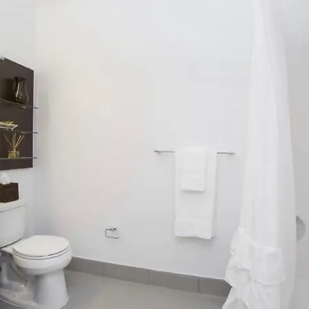 Entire Luxury Mins From Times Square