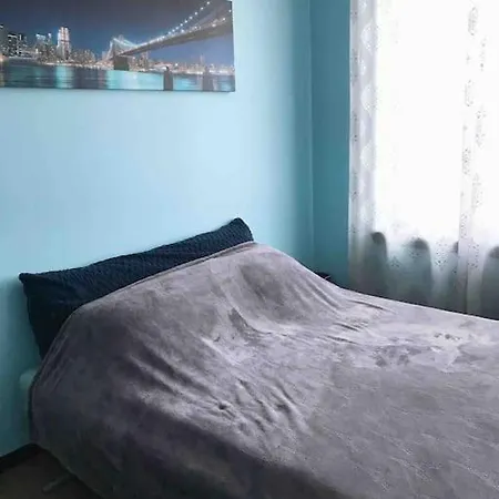 Beautiful 1 Bd In The Heart Of Brooklyn. Apartment