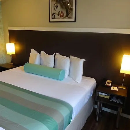 Hotel Super 8 By Wyndham Brooklyn / Park Slope