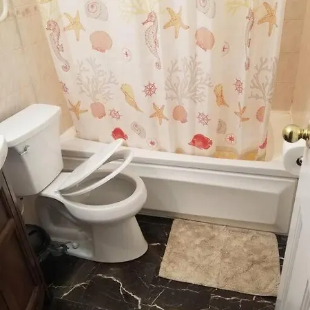 1st Floor Private Apt Near Ferry To Nyc And Park New York