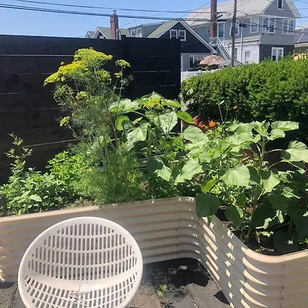 Surf Sanctuary Retreat * New York