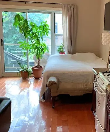 Apartment Studio With Private Half Bathroom And Shared Full Bath *