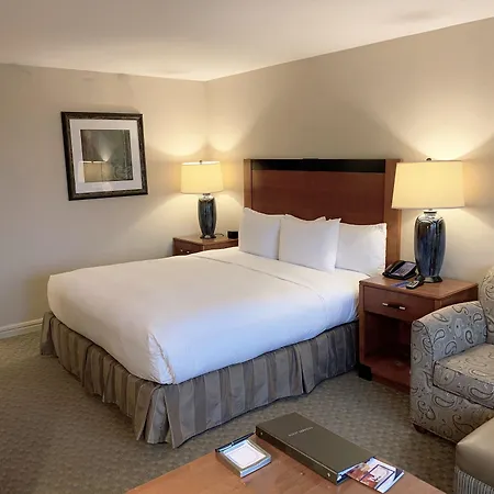 Hilton Jfk Airport 3* New York