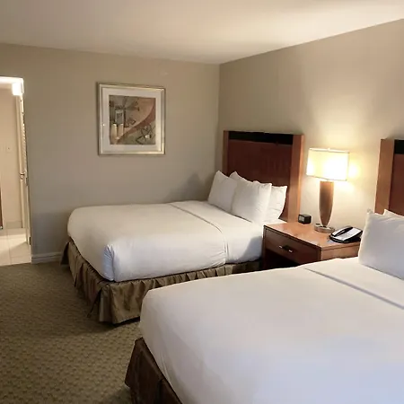 Hilton Jfk Airport Hotel