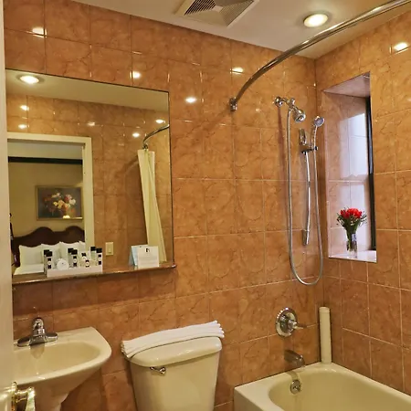Hotel Newton 3*