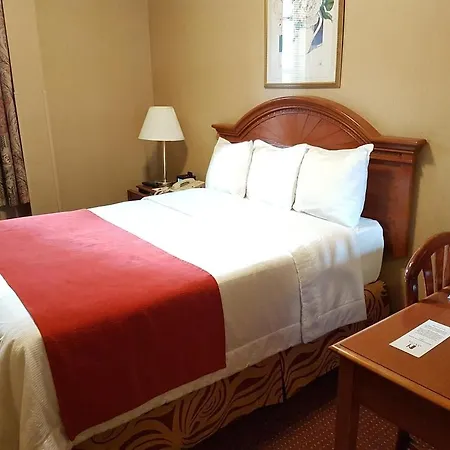 Newton Hotel 3*