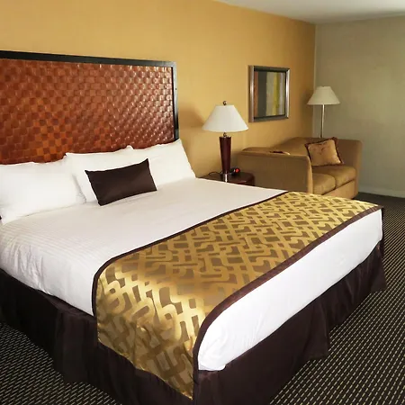 Hotel The Skyline 3*