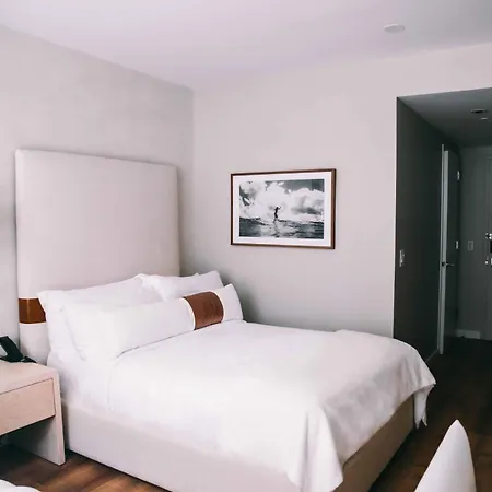 Coda Williamsburg 4*