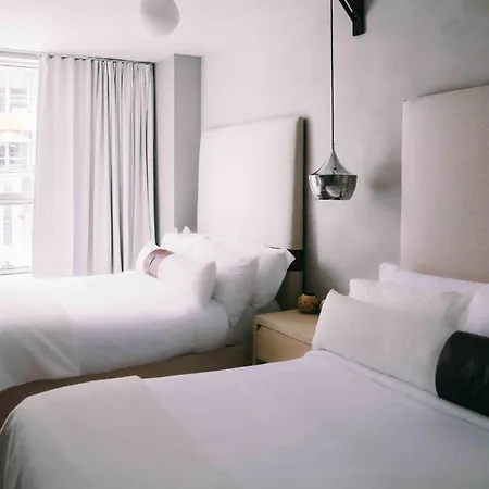 Hotel Coda Williamsburg