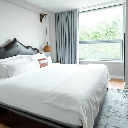Coda Williamsburg Hotel