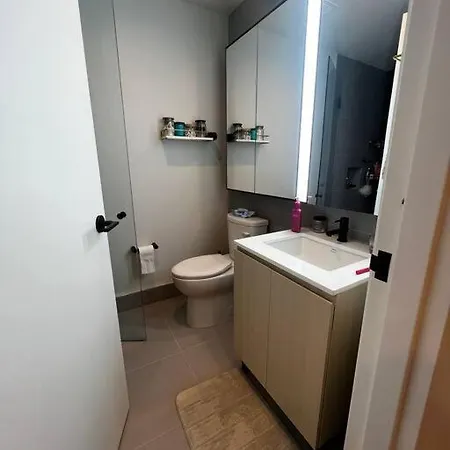 Luxury High-rise Studio Brooklyn
