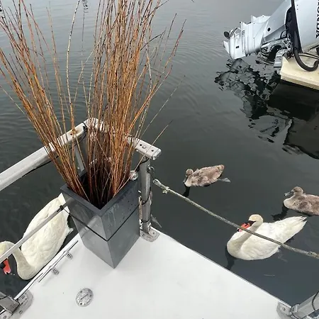 Unique Design Houseboat In Rockaway Queens *