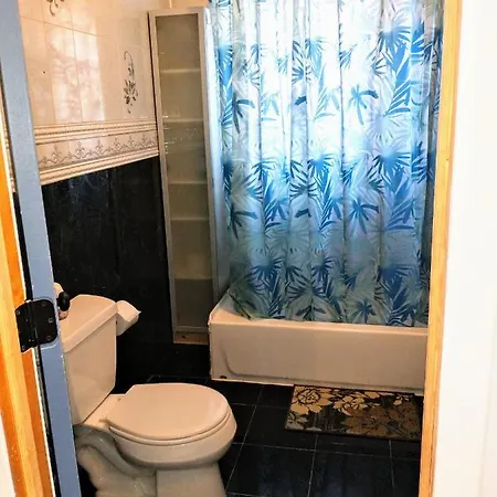 Explore From Queens Apartment