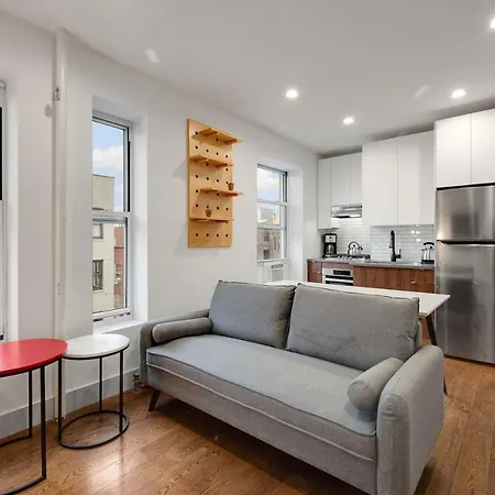 Furnished 523 East Village Apartment New York