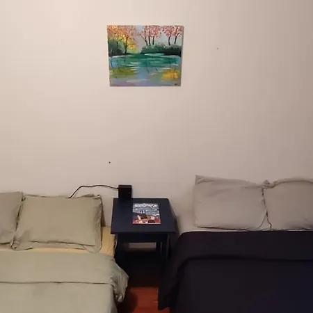 Homestay Spacious For 4 People In Williamsburg !