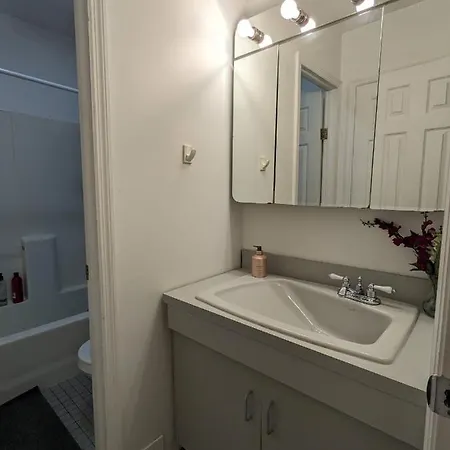 Homestay Fawlty Towers In Williamsburg New York