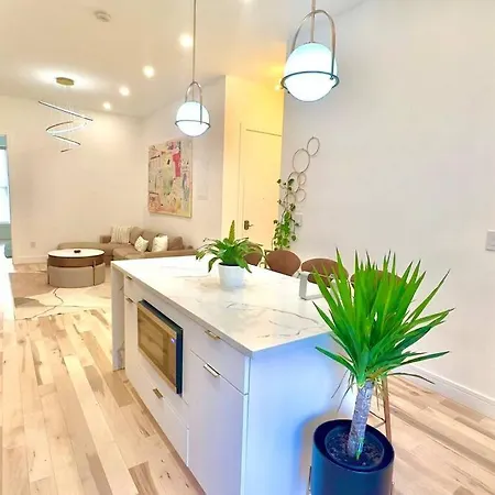 Apartment Ultra-luxury Stylish In Historic Brooklyn New York