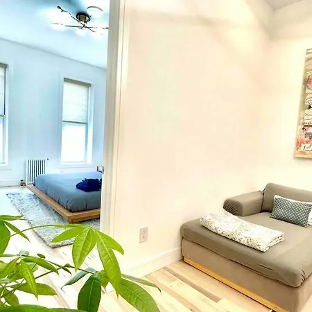 Ultra-luxury Stylish In Historic Brooklyn New York