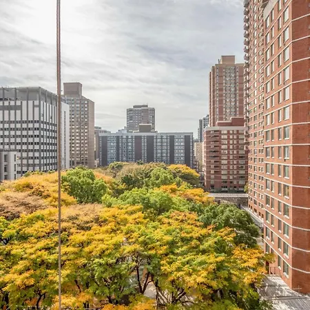Kips Bay 1br W Elevator Doorman Nr Hospitals Nyc-1273 New York