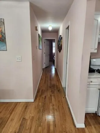Luxury Colorful 3 Bd Unit 1 10 Mins From Jfk Apartment *