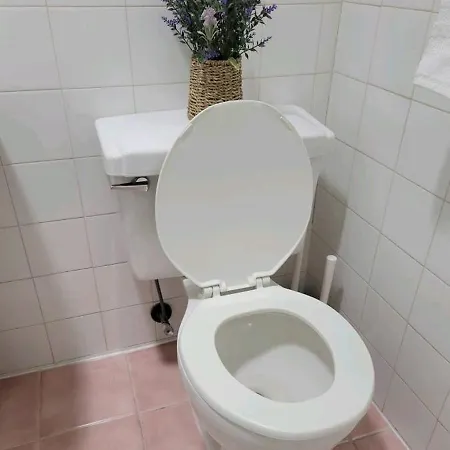Private Apartment, Not Shared, Near Public Transportation, Super Fast Free Wifi, Due To Ny Restrictions It Only Be Booked For 30 Nights Or More, Even If The Site Allows To Book It, I Will Not Be Able To Accept The Reservation, 30 Nights Minim New York