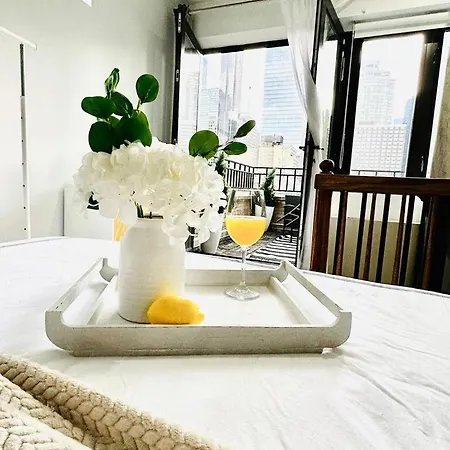 809-6a New 2br Private Roof & View * New York