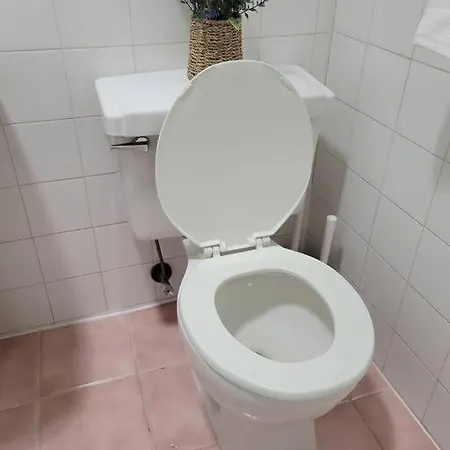 Apartment Private Apartment, Not Shared, Near Public Transportation, Super Fast Free Wifi, Due To Ny Restrictions It Only Be Booked For 30 Nights Or More, Even If The Site Allows To Book It, I Will Not Be Able To Accept The Reservation, 30 Nights Minim New York