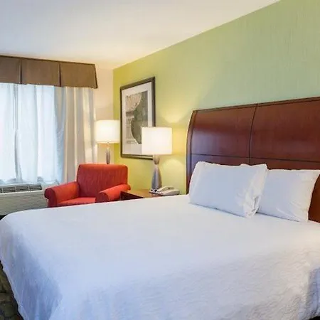 Hilton Garden Queens Jfk Hotel 3*
