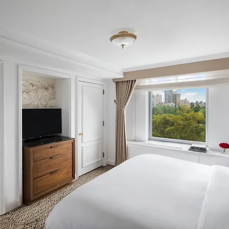 The Ritz-carlton New York, Park New York